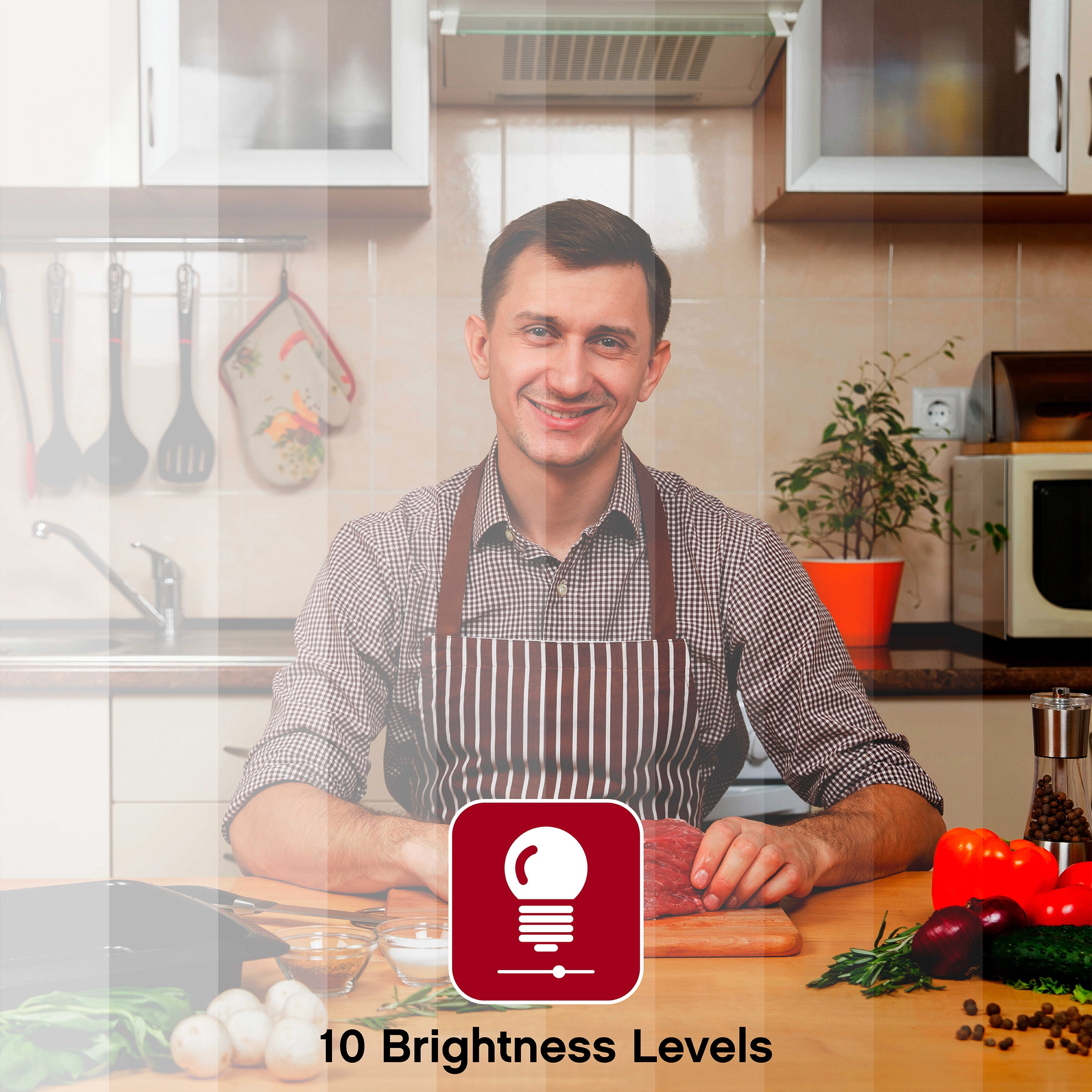 ON AIR 8 in. LED Ring Light with Multiple Light Modes and Brightness Levels
