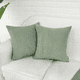 thumbnail image 3 of Fundas Para Cojines Decorativos Suave Terciopelo 2 Piezas Xtellar blanco, 3 of 3
