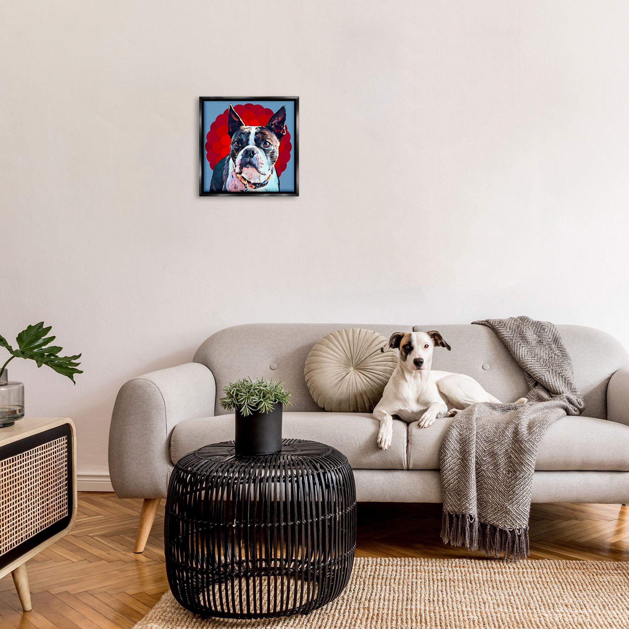 Stupell Industries Boston Terrier Dog over Geometric Animals & Insects Painting Black Floater Framed Canvas Art Print Wall Art, 18 x 18