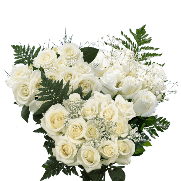 3 Dozen White Roses with Baby's breath and Green Fresh Flower Delivery