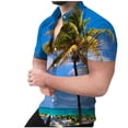 thumbnail image 1 of Camisa de playa hawaiana para hombre Camisa bohemia de verano Pompotops oipoqjl45118, 1 of 6