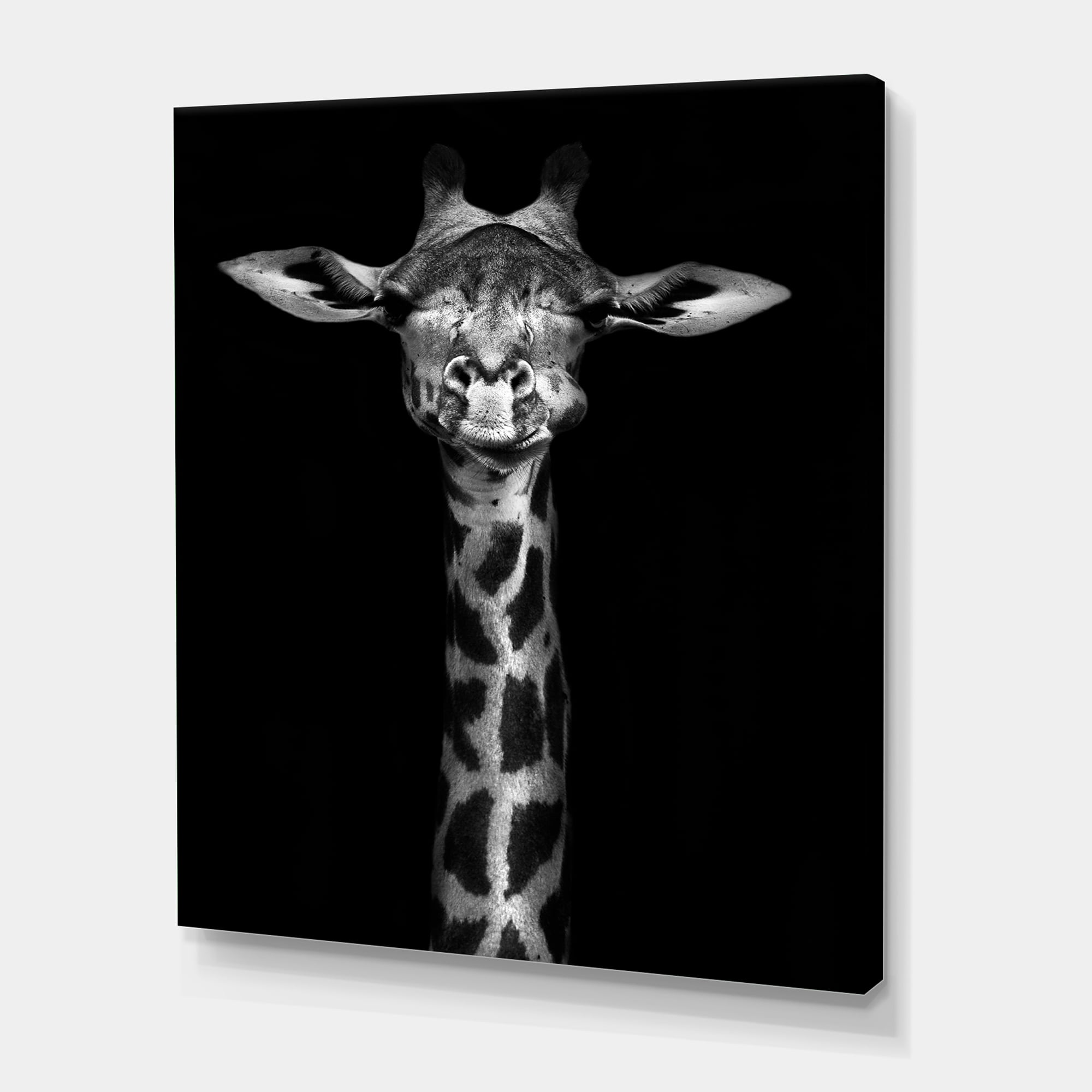 Designart ' Portrait Of A Giraffe In Monochrome ' Farmhouse Canvas Wall Art Print