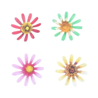  77x Edible Flowers for Cake Decorating Cupcake Toppers for  Anniversary : Grocery & Gourmet Food