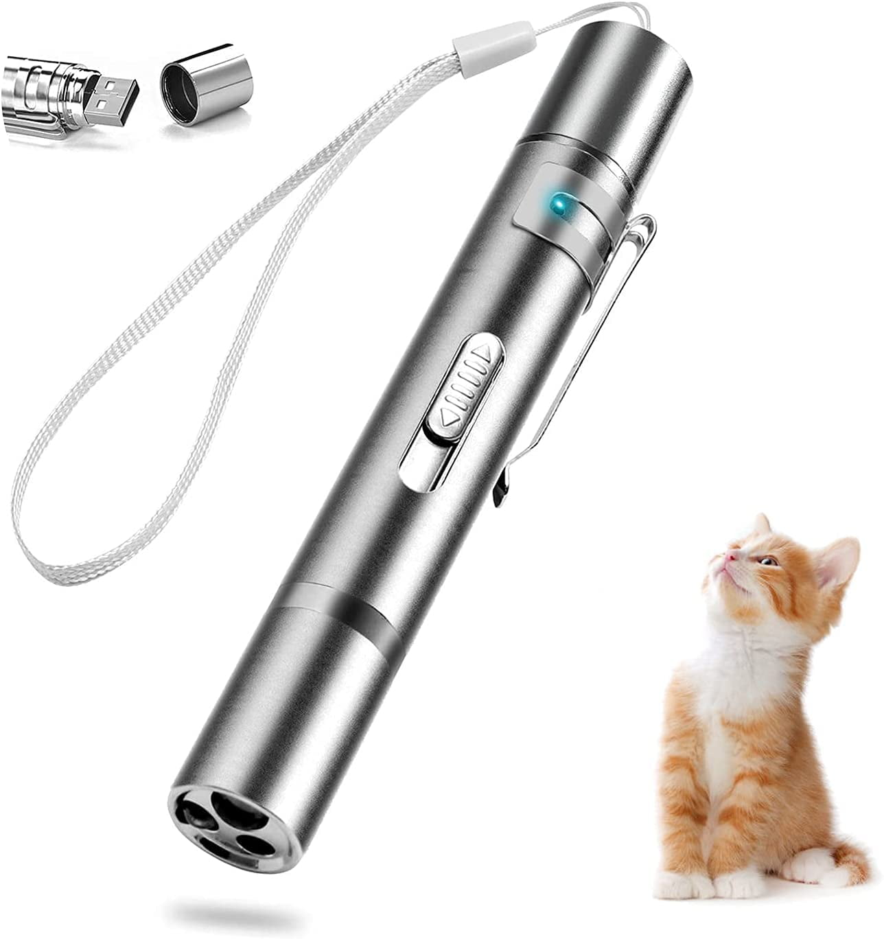 USB Recharge Remote Presenter Clicker for Indoor Classroom Interactive Teaching Cat Toys for Indoor Cats Laser Pointer for Cats Dogs 