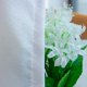 thumbnail image 5 of Xihbxyly Cortina Romántica Transparente, Filtro Suave de Luz Natural, Elegante Decoración para El Hogar, Ambiente Acogedor de Lectura, Regalo para Seres Queridos, Poliéster, 270 X 100 Cm, 5 of 7
