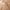 Tan, variant on Laura Geller New York Baked Balance-N-Glow Powder Foundation, Illuminating Medium, 0.28 oz