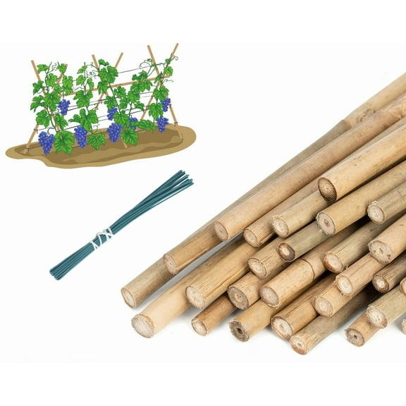 Artrylin 20Pcs Natural Bamboo Stakes with 20Pcs Green Ties，45cm Eco-Friendly Garden Stakes, Plant Stakes Supports Climbing for Tomatoes, Trees, Beans