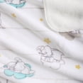 thumbnail image 2 of Disney Baby Dumbo Plush Baby Blanket, 2 of 6
