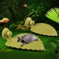 thumbnail image 3 of Walbest 1 Pack Turtle Platform, Turtle Terrace with Suction-Cup Adjustable Reptile Basking Board Platform, 3 of 7