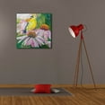 thumbnail image 6 of Epic Graffiti 'Finch on Coneflowers' by St. Hilaire Elizabeth, Canvas Wall Art, 26"x26", 6 of 8