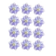 thumbnail image 1 of Pressed Flowers Home Arts Decorative Bookmarks Stickers Safe Colorful Multiple Simulation Decor Perfect Gifts Festive Supplies Light purple, 1 of 8