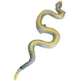 thumbnail image 1 of Juguete inflable de natación Colco serpiente 41 pulgadas, 1 of 8