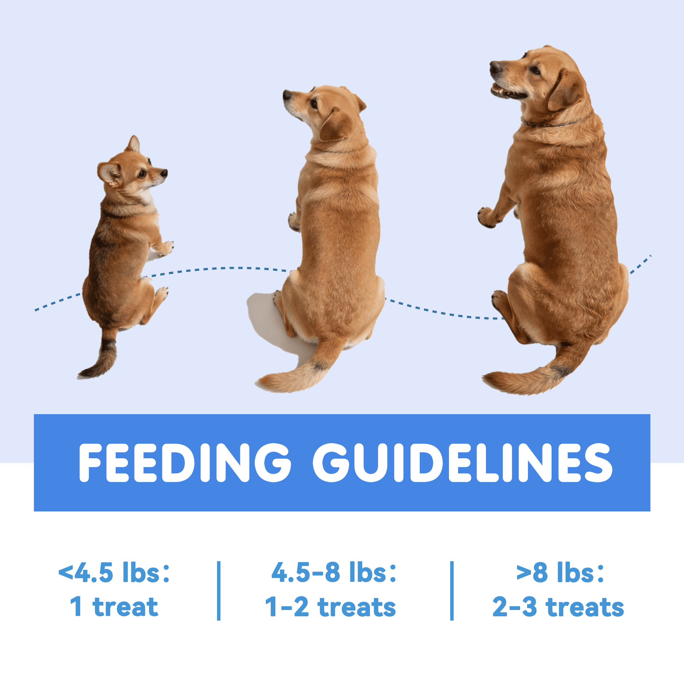 (2 pack) PAWUP Freeze Dried Minnows Dog & Cat Treats, Single Ingredient Dog Treats for Small & Large Dogs, High Protein, Grain Free, Rich in Omega 3 Dog Training Treats, 3.6oz