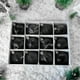 thumbnail image 5 of 12 bolas de plástico para árbol de Navidad, colgantes para fiestas, decoración del hogar, 12 unidades, transparentes, fáciles de colgar, para sala de estar, oficina y boda., 5 of 7