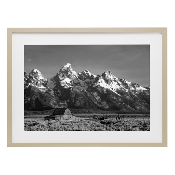 Stupell Industries Rustic Lodge John Moulton Barn Landscape Birch Framed Print Under Glass, 23 x 17, by Steve Toole