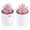 Pink, variant on Mini Artificial Succulent Plants Set of 2, Pink Faux Potted Desk Decor for Women, Small Fake Plants for Home Office, White Elephant Gifts for Adults white elephant gifts under 10 dollars