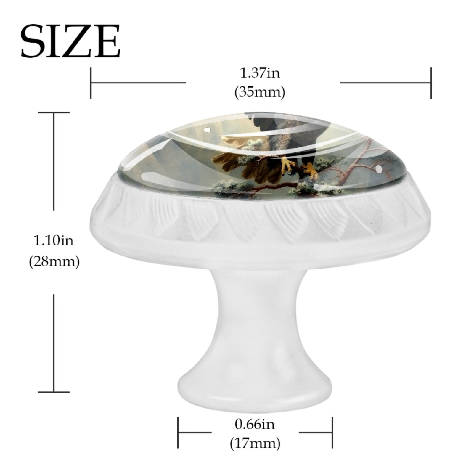 4 Pcs Eagle Knobs for Kitchen Cabinet Cupboard Dresser Bookcase Drawer Pulls Handles Round Home Decor