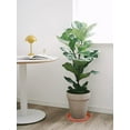 thumbnail image 3 of 6 Pack of 12 inch Plant Saucer, Heavy Duty Plastic Planter Saucer 12" Round, Plant Tray for Pots, Flower Pot Saucers for Indoors, Flower Trays for Planter 11"/12" (12 inch, Terracotta), 3 of 3