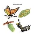 thumbnail image 3 of Vogacara Juego de figuras de crecimiento de insectos, insecto de plástico, huevo, gusano, capullo, modelo colectivo, figuritas, ciencia natural, escuela, Juguetes Educativos Vogacara FN010051-00, 3 of 6