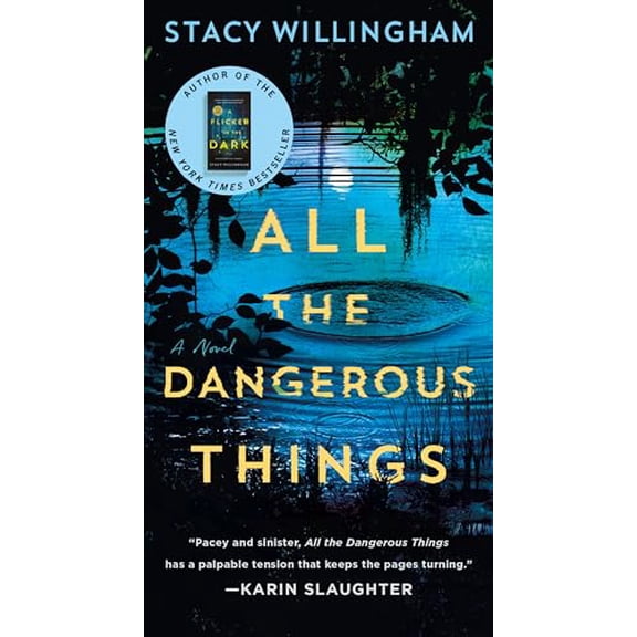 Pre-Owned All the Dangerous Things (Mass Market Paperback) 1250344093 9781250344090
