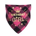 thumbnail image 4 of 2 triángulos de verano para mascotas (estilo cuadros de cumpleaños - niñas), collar para mascotas, bufanda de verano, bufanda babeante, collar para perros JM, 4 of 4