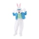 thumbnail image 4 of Disfraz de conejito de Pascua para niños, ropa de cuerpo completo, disfraz de cosplay para niñas M, 4 of 9