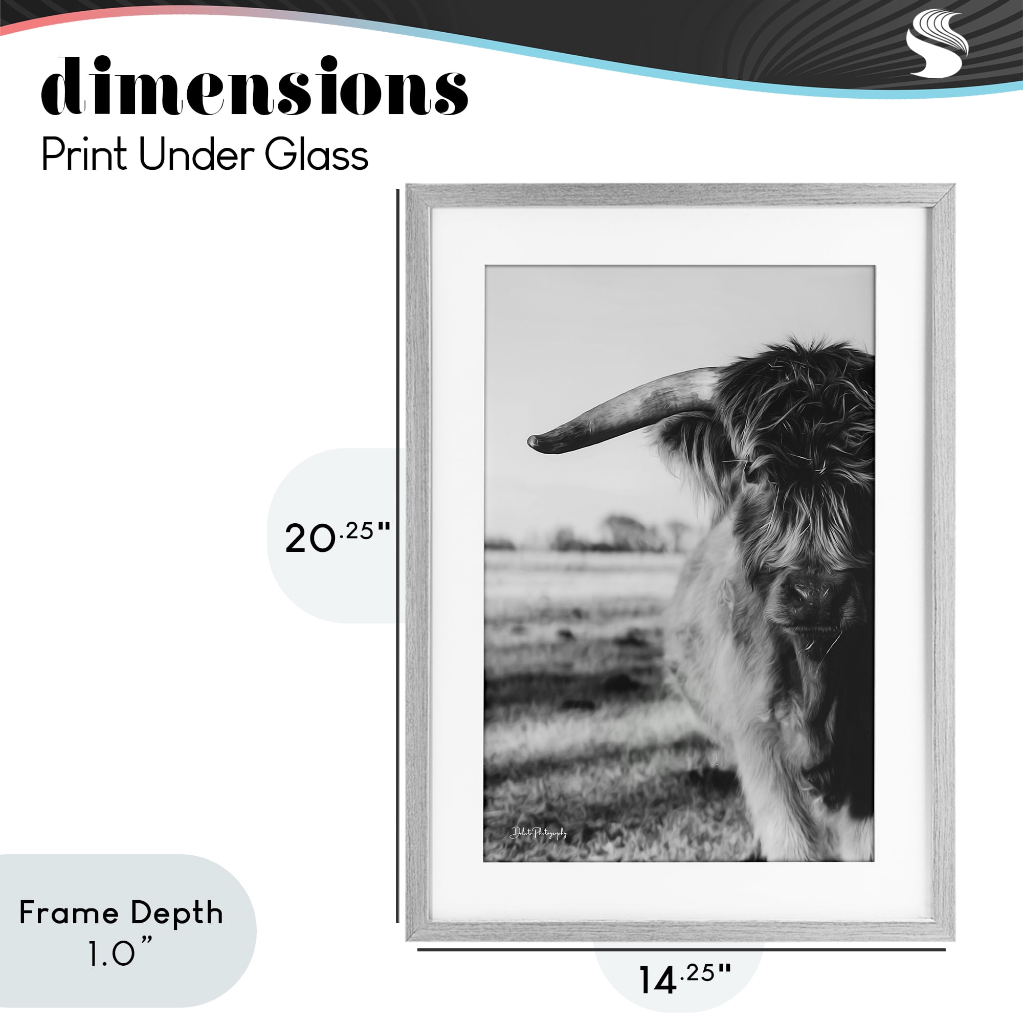 Stupell Industries Baby Cattle in Monochrome Gray Framed Print Under Glass, design by Dakota Diener