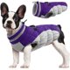 thumbnail image 1 of Abrigo para perro FUAMEY, impermeable para invierno, a prueba de viento, morado, talla M, 1 of 6