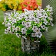 thumbnail image 6 of GRNSHTS Artificial Flowers for Outdoors Fake Plants - 8 Bundles Faux Outside Greenery Boxwood No Fade Plastic Shrubs Fall Decor Farmhouse Home Garden Christmas, 6 of 17