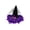 Dark Purple, variant on IAJDKMEK Halloween Witch Hat with Feather – Decoration Costume Party Wizard Hat for Women Halloween Costumes Dress Up