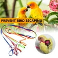thumbnail image 4 of Pet Bird Harness Adjustable Leash Flying Training Rope for Parrot Cockatoo Macaw Cockatiels, 4 of 9