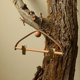 thumbnail image 4 of Oden Pant Skirt Hangers Closet Organizer Suit Hangers For Skirts Pants Slacks Coats, 4 of 5