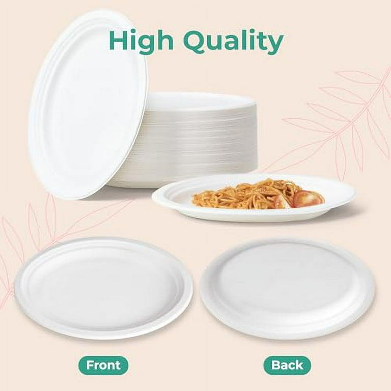 500 Pack] Compostable Paper Plates, 10 x Inch Biodegradable
