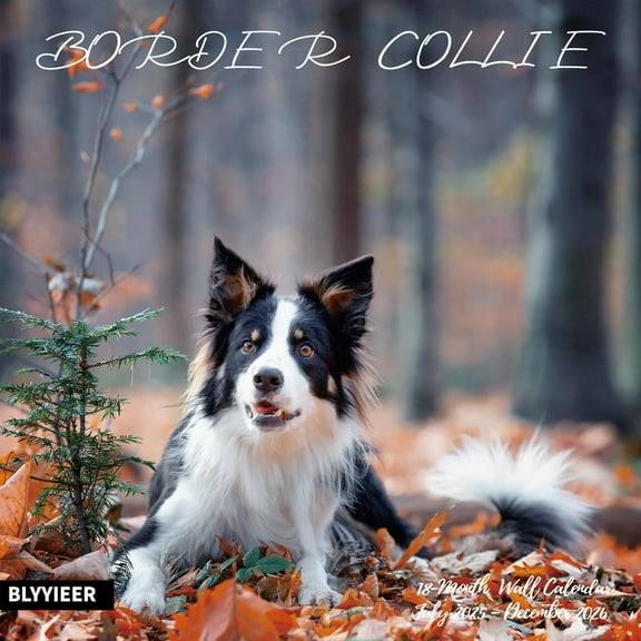 2025-2026 Wall Calendar,Border Collie Wall Calendar, 12" x 24" Open,Family Planner Calendar Organizer withBorder Collie Images, for Dogs Lovers