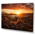 thumbnail image 2 of Designart "Sheep form At Sunrise" Animals Canvas Art Print, 2 of 5