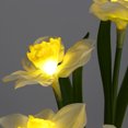 thumbnail image 1 of Luz Nocturna De Narcisos Luz LED para jarrón de narcisos con enchufe USB o adorno de iluminación alimentado por batería (blanco), 1 of 8