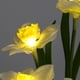 thumbnail image 2 of Luz Nocturna De Narcisos Luz LED para jarrón de narcisos con enchufe USB o adorno de iluminación alimentado por batería (blanco), 2 of 8