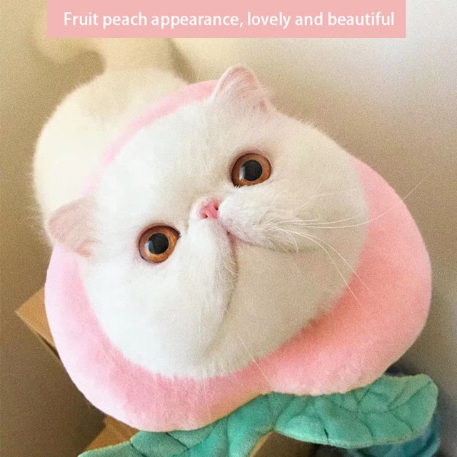 Wound Protector, Pet Recovery Collar, Cat Anti-Bite , Soft Wound Collar, Neck Cat Supply For Cat Pet Recovery Tool