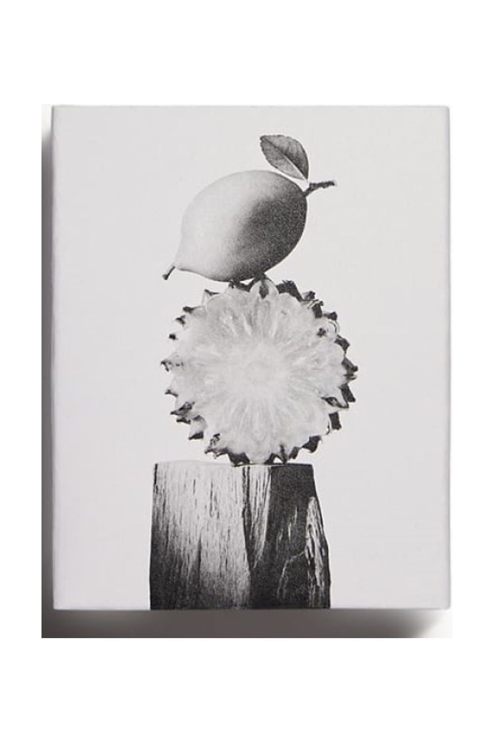 vibrant leather bogoss 60 ml