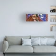 thumbnail image 3 of Wendy Edelson 'Midsummers Night Dream' Canvas Art, 3 of 4