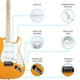 thumbnail image 4 of Guitarra Eléctrica Diestro Basswood Jethro Series Steelpro 020SK 2023 Stratocaster, 4 of 9