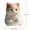 B-Orange White, variant on Squeezable Duck and Goose Stress Relief Toys, Big White Goose Pinch Toy for Fun Sensory Play, Soft Decompression Fidget Balls for Adults Kids, 3 Inch, For Anxiety Relief and Party Favors
