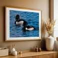 thumbnail image 4 of Washington Duo on the Waves Ring-necked Ducks - Ocean Shores Washington Photography Wildlife Bird Lake Water Animal Aquatic Scenic Oak Framed Wall Art Print 24 x 36 inches, 4 of 6