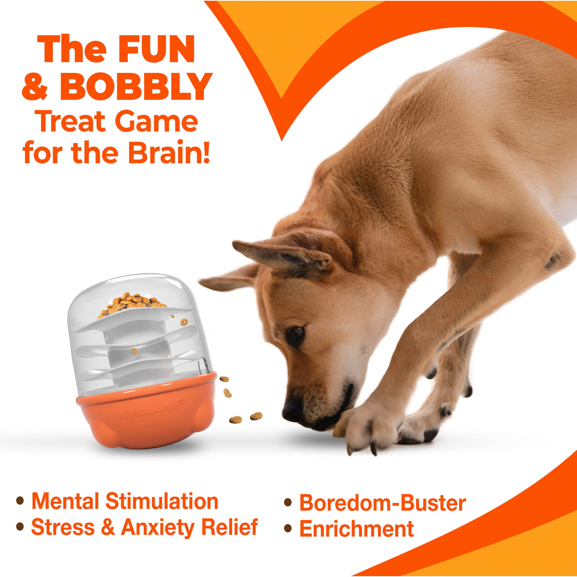 Nylabone Boop N Bobble Puzzle Treat Toy (1 Count)