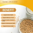 thumbnail image 2 of LOVITA Lecithin Supplement - 2000mg | Rich in Phosphatidyl Choline | 60 Vegan Softgels, 2 of 5