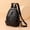 Black, variant on PRIYAL Exclusive Stylish Women'S Backpack Made with Lining And Material, Suitable for Work And Travel