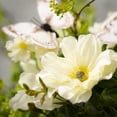 thumbnail image 2 of 20.25"H Sullivans Dahlia Botanical Wreath, Multicolored, 2 of 4