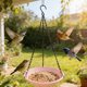 thumbnail image 4 of Comedero colgante para colibríes y aves silvestres: decoración de jardín para exteriores con cadena y recipiente para la comida., 4 of 6