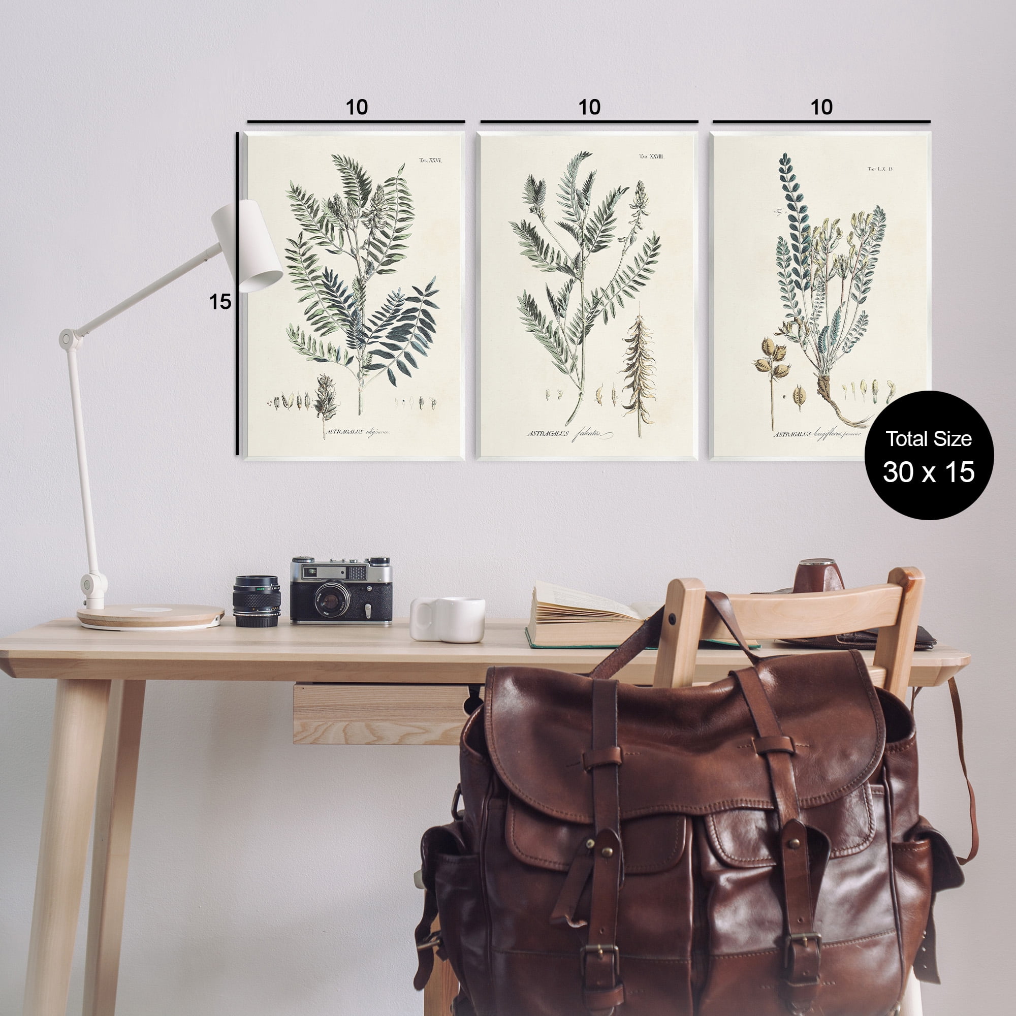 Stupell Industries Woodland Plant Studies Botanical & Floral Painting Unframed Art Print Wall Art, 13 x 19, Set of 3