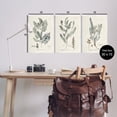 thumbnail image 4 of Stupell Industries Woodland Plant Studies Botanical & Floral Painting Unframed Art Print Wall Art, 13 x 19, Set of 3, 4 of 8